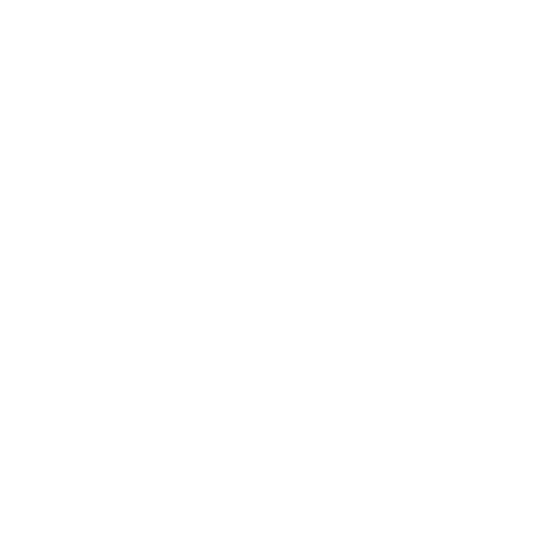 logo star bike branco